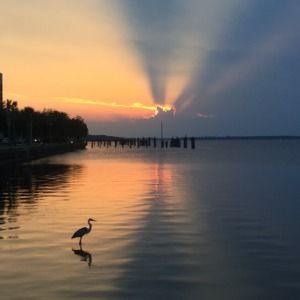 Meet your Posher, Sandie